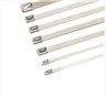 Stainless Steel Cable Ties-Ball Lock Type12
